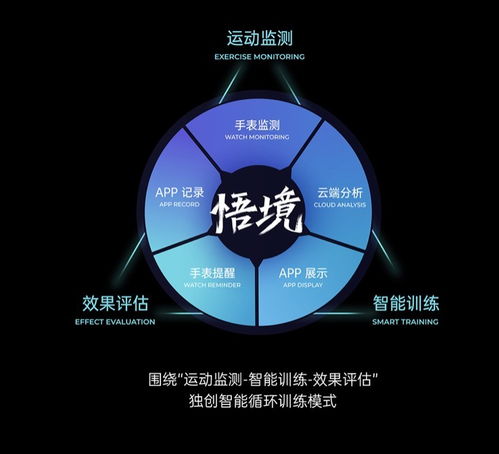 聚焦如骏运动手表火爆上线 强国概念引资本角逐，大数据服务成核心引擎